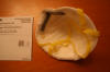 3m N95 Face Mask Particulate Respirator 8210 Raleigh Durham Chapel Hill Medical