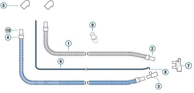 Circuit Overview Hamilton Ventilator Raleigh Durham Medical   